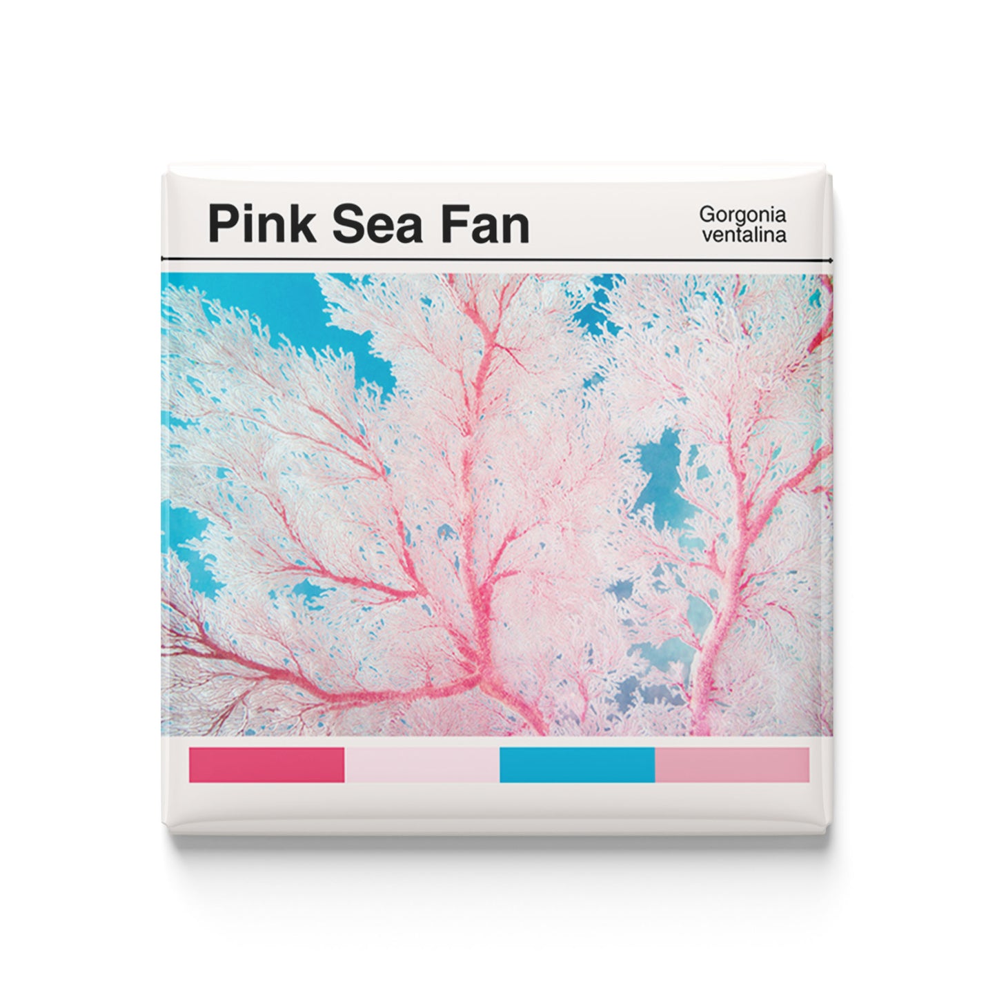 Pink Sea Fan Coral - Scientific Magnet - 2x2 Magnet