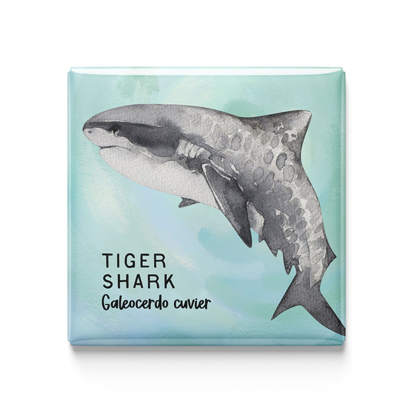 Tiger Shark Watercolor Magnet – 2x2" Handmade Ocean Wildlife Art