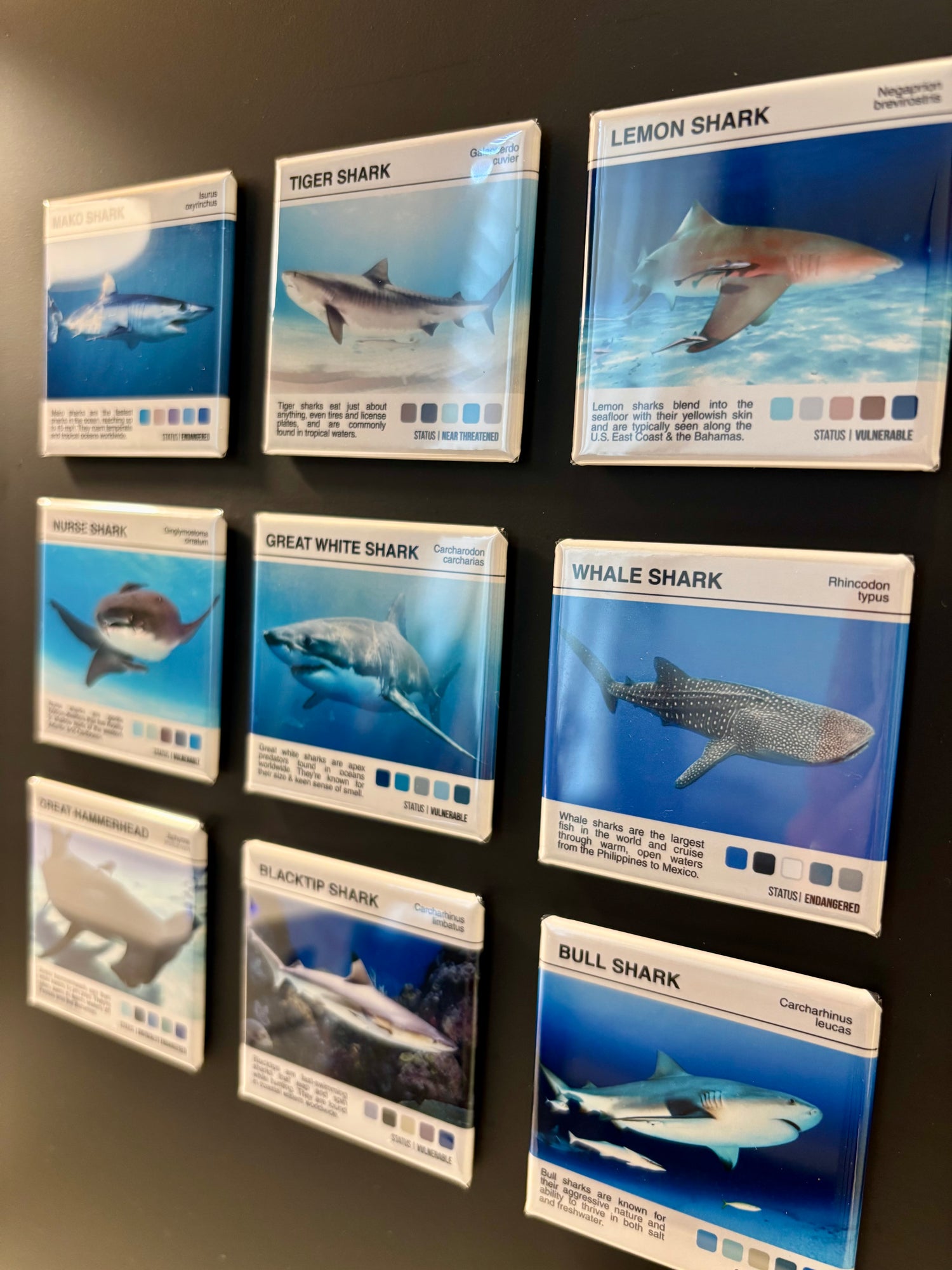 Scientific Poster Magnets