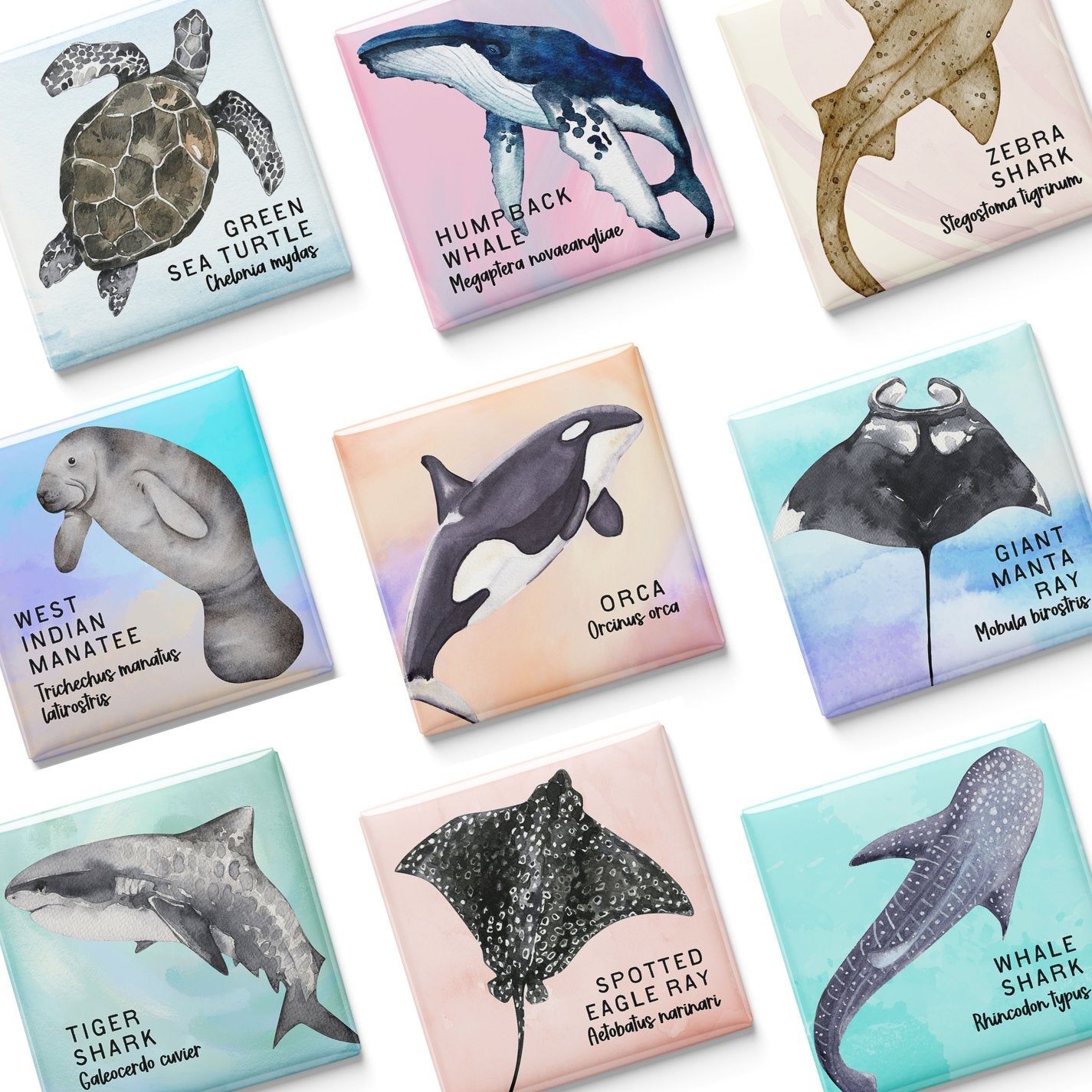 Watercolor Ocean Wildlife Magnets