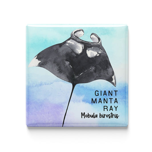 Giant Manta Ray Watercolor Magnet – 2x2" Handmade Ocean Wildlife Art