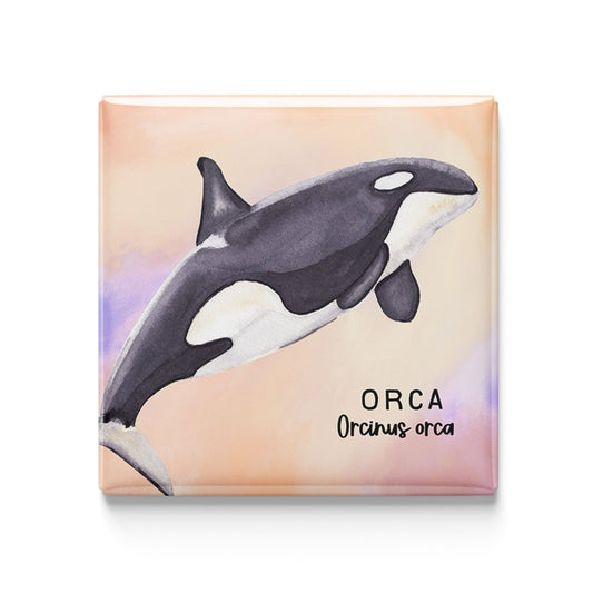 Orca Watercolor Magnet – 2x2" Handmade Ocean Wildlife Art