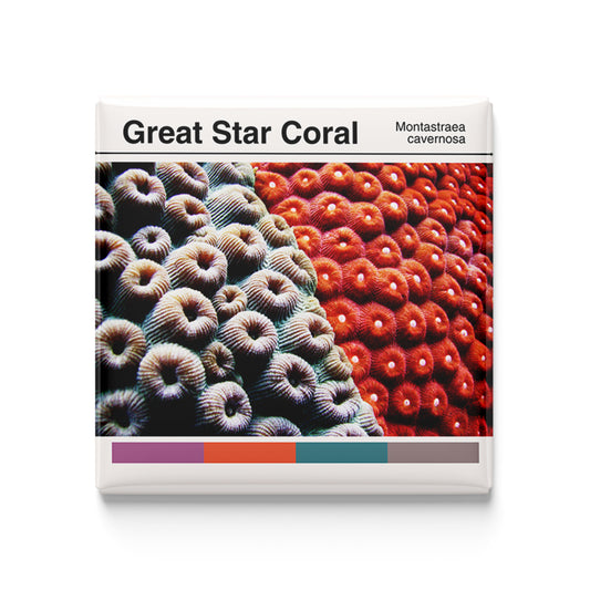 Great Star Coral - Scientific Magnet - 2x2 Magnet