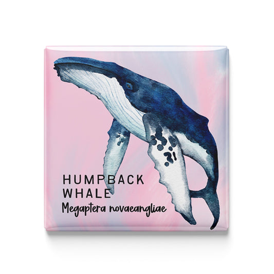 Humpback Whale Watercolor Magnet – 2x2" Handmade Ocean Wildlife Art
