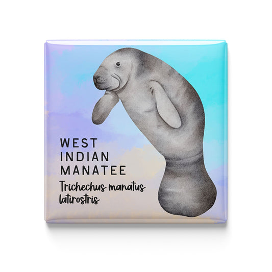 West Indian Manatee Watercolor Magnet – 2x2" Handmade Ocean Wildlife Art