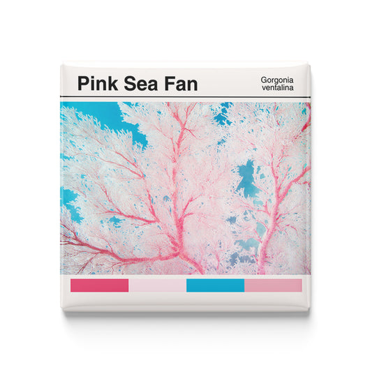 Pink Sea Fan Coral - Scientific Magnet - 2x2 Magnet
