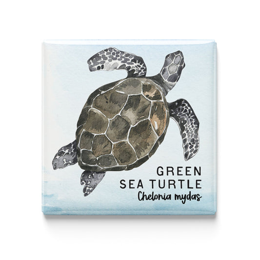 Green Sea Turtle Watercolor Magnet – 2x2" Handmade Ocean Wildlife Art