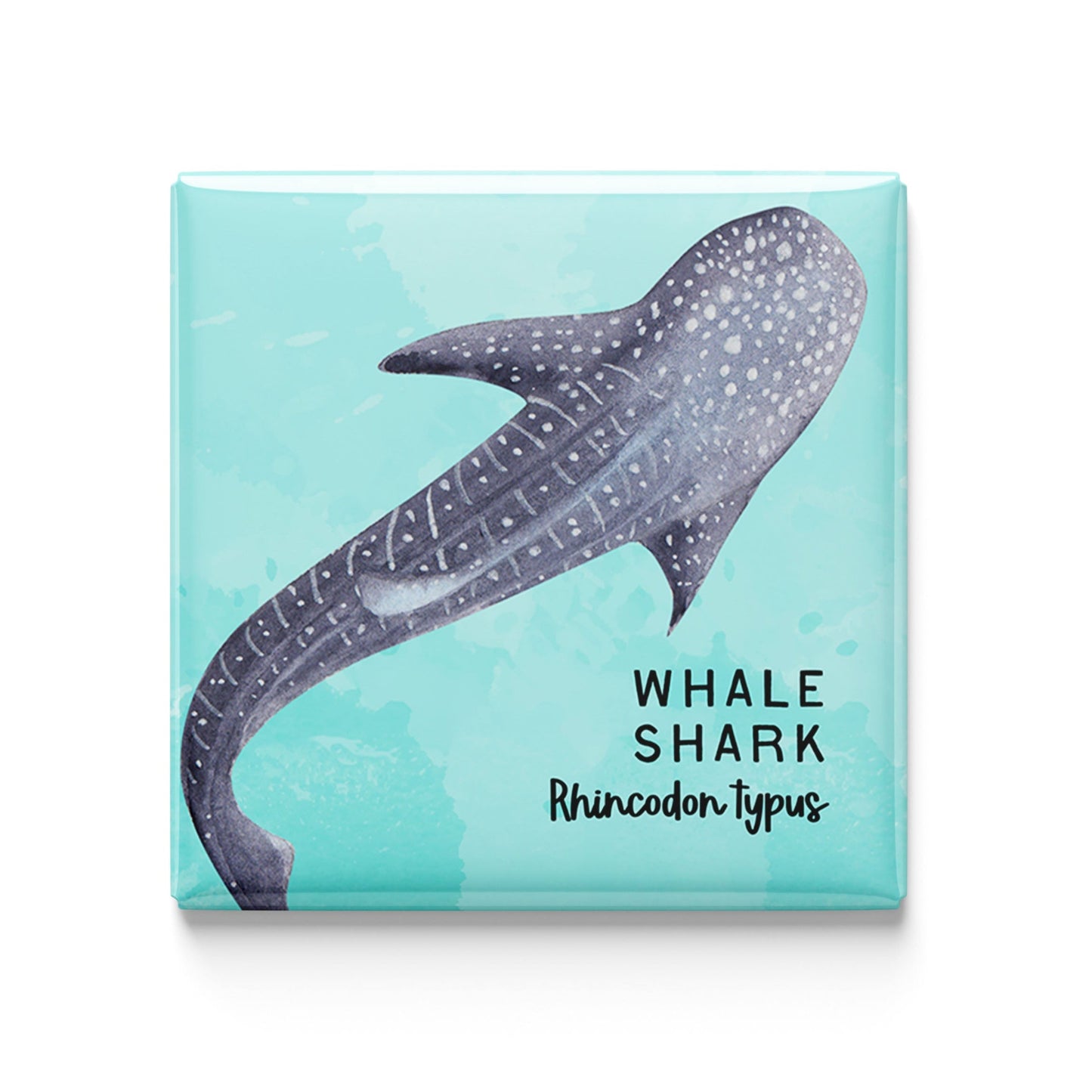 Whale Shark Watercolor Magnet – 2x2" Handmade Ocean Wildlife Art
