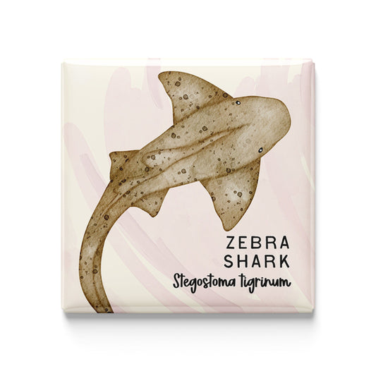 Zebra Shark Watercolor Magnet – 2x2" Handmade Ocean Wildlife Art